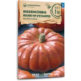 Organic Giant Pumpkin "Rouge vif d'Etampes"