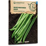 Samen Maier "Maxi" Organic French Beans
