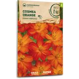 Samen Maier Bio Pillangóvirág - Narancssárga