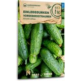 "Vorgebirgstrauben" Organic Pickling Cucumbers