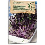 Organic Sprouts/Microgreens - "Scarlet Champion" Radishes