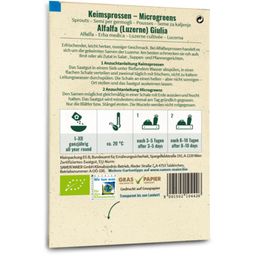 Biologische Kiemgroente/Microgreens - Alfalfa Giulia