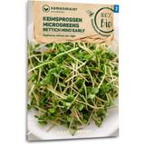 Biologische Kiemgroente/Microgreens - Radijs "Mino Early"