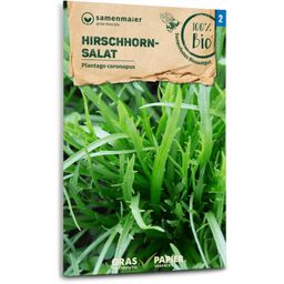 Samen Maier Salade Plantain Corne-de-cerf Bio