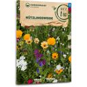 Samen Maier Organic Beneficial Insect Meadow Mix