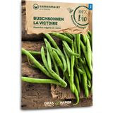 Samen Maier Organic Bush Beans "La Victoire"