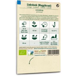 Samen Maier Bio Liebstock - Maggikraut