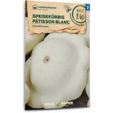 Samen Maier Organic "Patisson Blanc" Pumpkin
