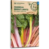 Samen Maier Organic Chard "Bright Lights"