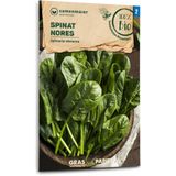 Samen Maier Organic Spinach "Nores"