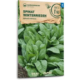 Samen Maier Organic Spinach "Winter Giants"