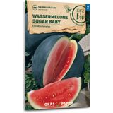 Samen Maier Biologische Watermeloen "Sugar Baby"