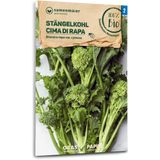 Samen Maier Bio stonková brokolica "Cima di rapa"