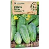Samen Maier Organic "Dekan" Cucumbers
