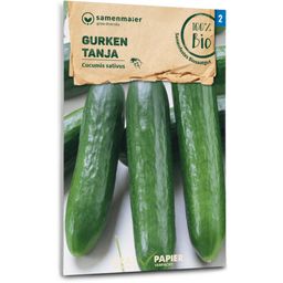 Organic Cucumbers "Tanja" - Field Cucumbers