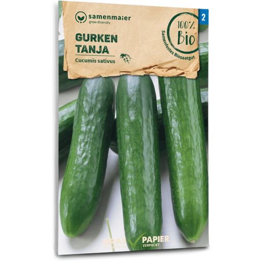 Organic Cucumbers 