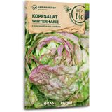 Samen Maier Organic Lettuce "Wintermarie"