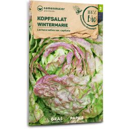 Samen Maier Organic Lettuce "Wintermarie"