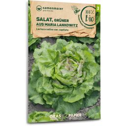 Samen Maier Bio Salat "Grüner aus Maria Lankowitz"