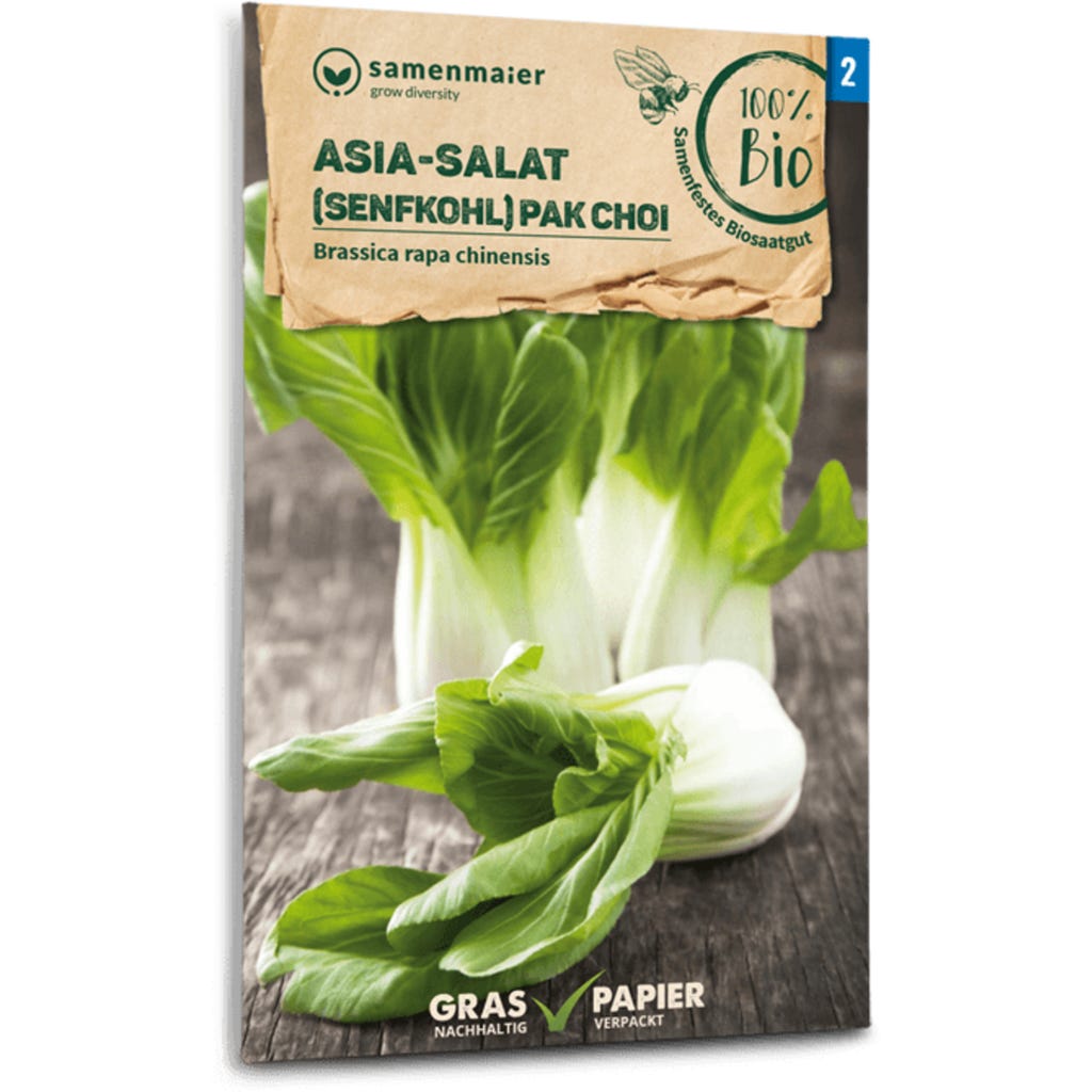 300 Semi di Cavolo Cinese Pak Choi - verdure antico orto - semi contadini riproducibili - SemiWild 300 Semi di Cavolo Cinese Pak Choi - verdure antico orto - semi contadini riproducibili - SemiWild