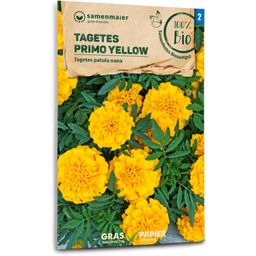 Samen Maier Organic French Marigold "Primo Yellow"