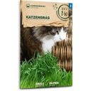 Samen Maier Organic Cat Grass