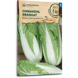 Samen Maier Organic Napa Cabbage "Granaat"