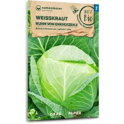 Organic White Cabbage "Glory from Enkhuizen"