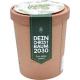 "Dein Christbaum 2030" Ökológiai ültető készlet 