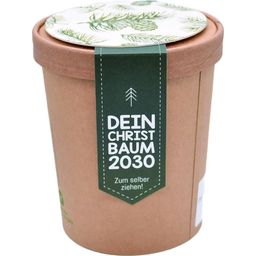 Ökologisches Pflanzset "Dein Christbaum 2030"