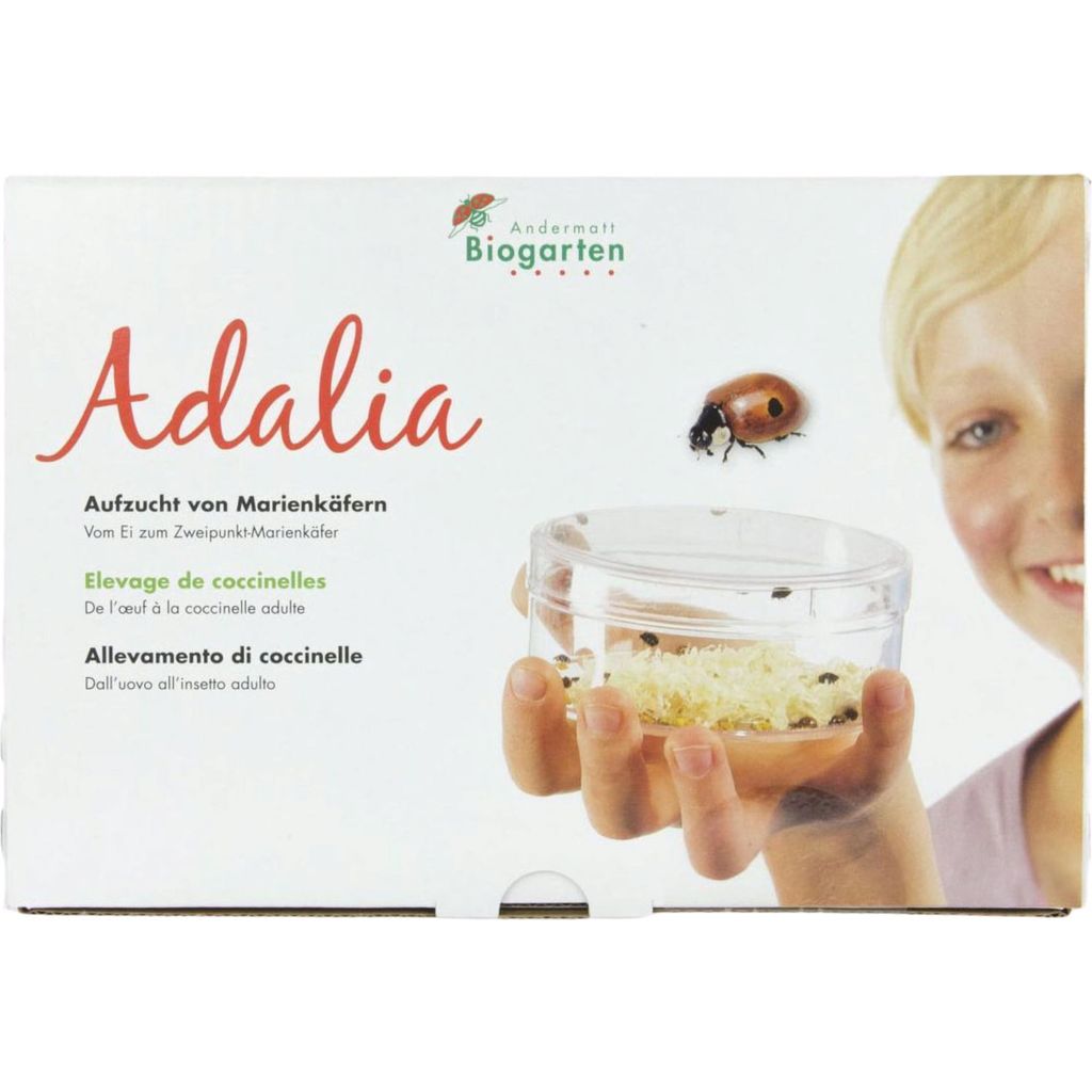 Andermatt Biogarten Adalia levage de Coccinelles 1 kit