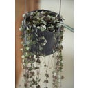 elho b.for swing Hanging Pot 18cm  - Anthracite