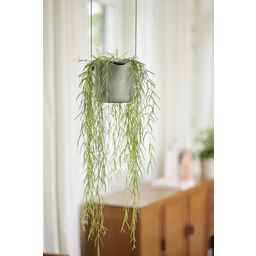 elho b.for swing hanger, 18 cm - verde pietra