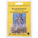 TROPICA Blauglockenbaum - 1 Pkg