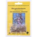 TROPICA Paulownia Tomentosa - 1 sachet