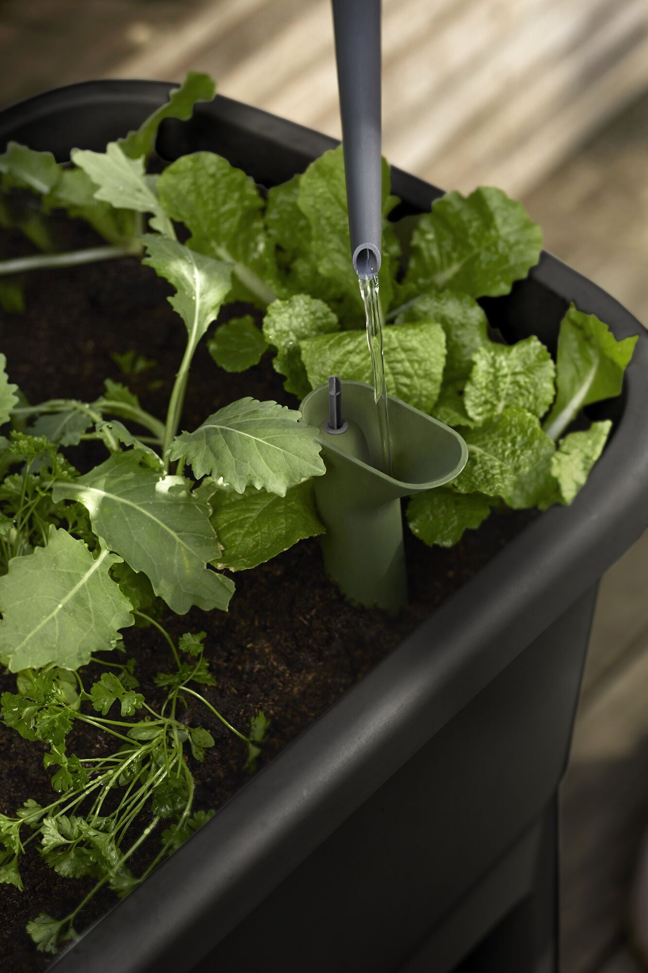 elho Mini-Carré Potager Surélevé NOA - Living Noir