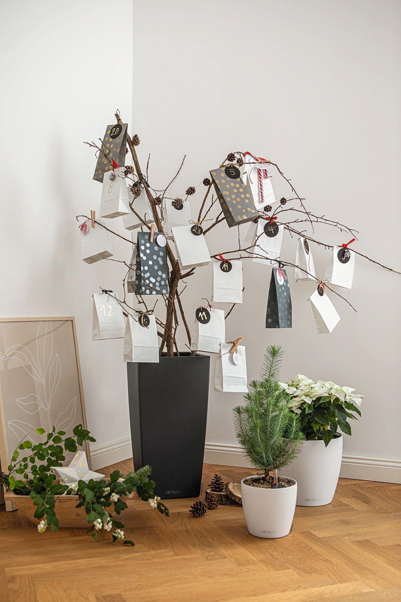 Lechuza CUBICO Color 40 Planter