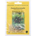 TROPICA Zwerg-Granatapfel - 1 Pkg