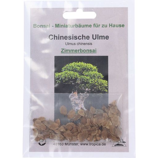 TROPICA Chinesische Ulme - 1 Pkg