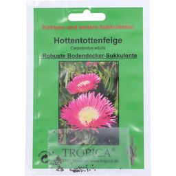 TROPICA Hottentottenfeige