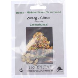 TROPICA Zwerg-Citrus