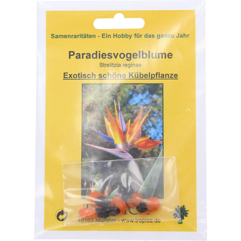 TROPICA Paradiesvogelblume, 1 Packung - Bloomling sterreich