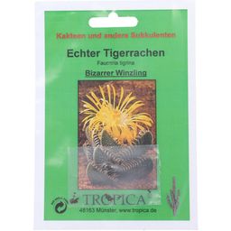 TROPICA Echter Tigerrachen - 1 Pkg