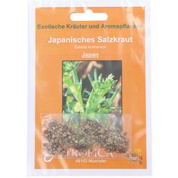 TROPICA Salicorne Japonaise - 1 sachet