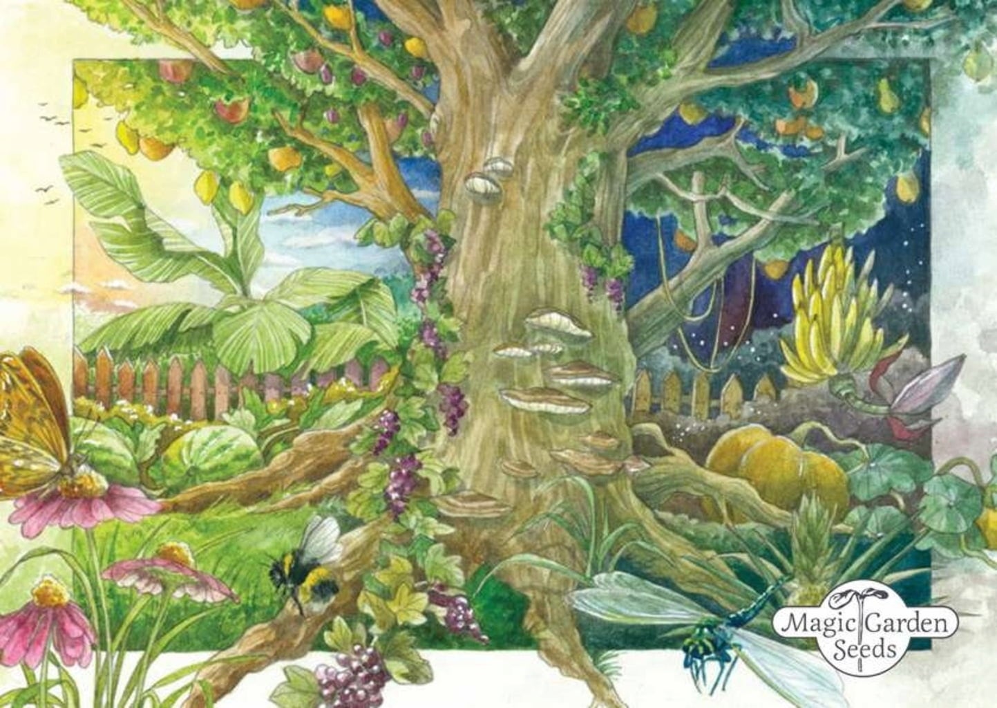 Magic Garden Seeds Selbstgemachter Kräutertee - Samenset