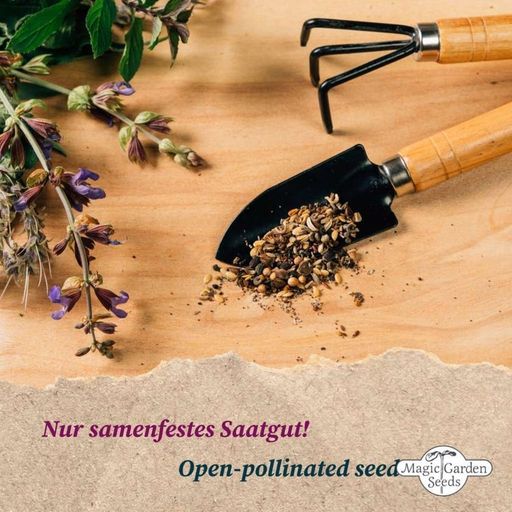 Magic Garden Seeds Schamanische Räucherkräuter - Samenset