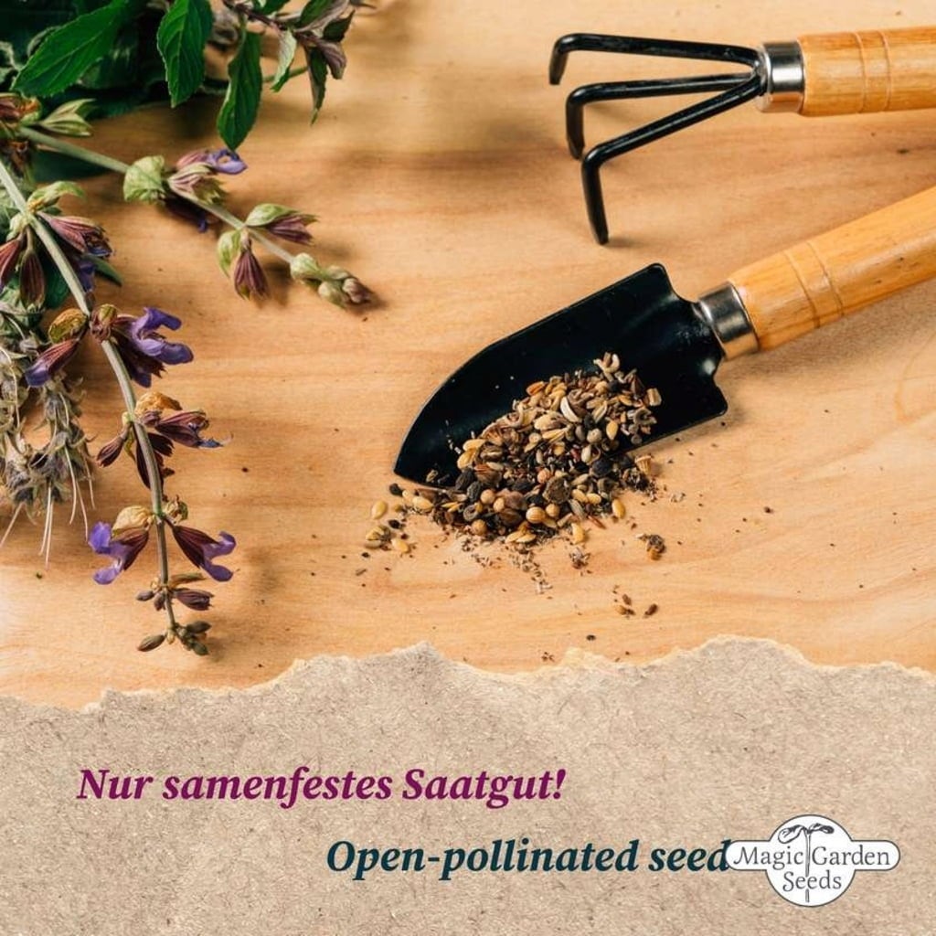 Bio tradicionalne močne in zaščitne rastline - set semen