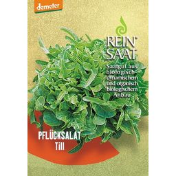 ReinSaat Salade 