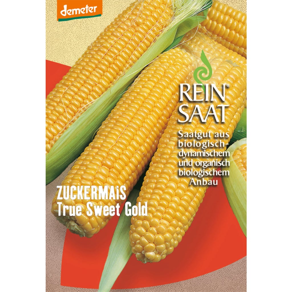reinsaat-sockermajs-true-sweet-gold-1-paket-bloomling-sverige