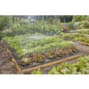 Micro-Drip-System Sprühbewässerung Set Gemüse-/Blumenbeet (60 m²)